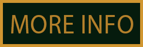 2027-national-womens-conference-homepage-more-info-button.png
